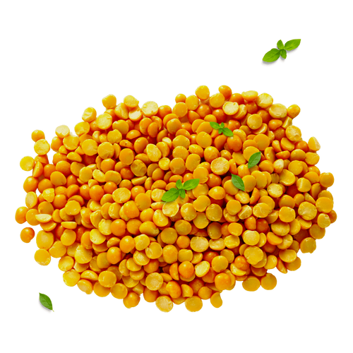 Pea Protein